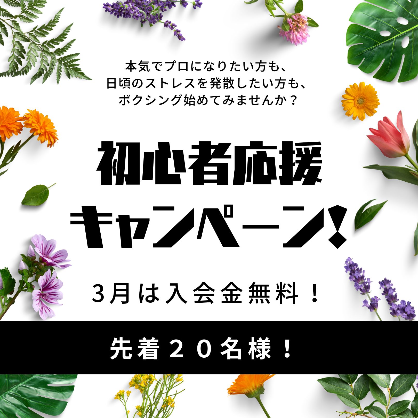 入会金無料キャンペーン